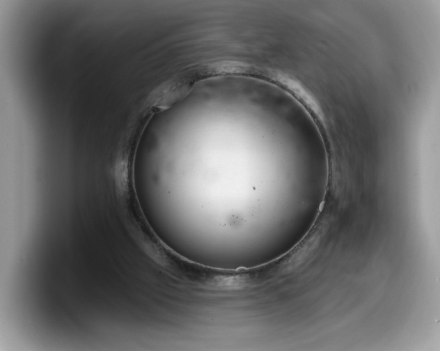 X0000099970057200805301342