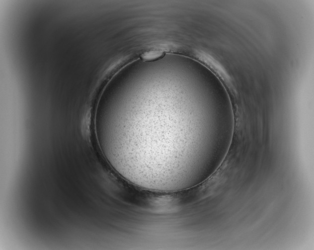 X0000099970058200805301342