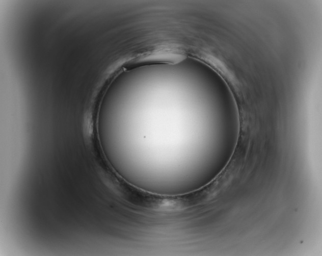 X0000099970060200805301342