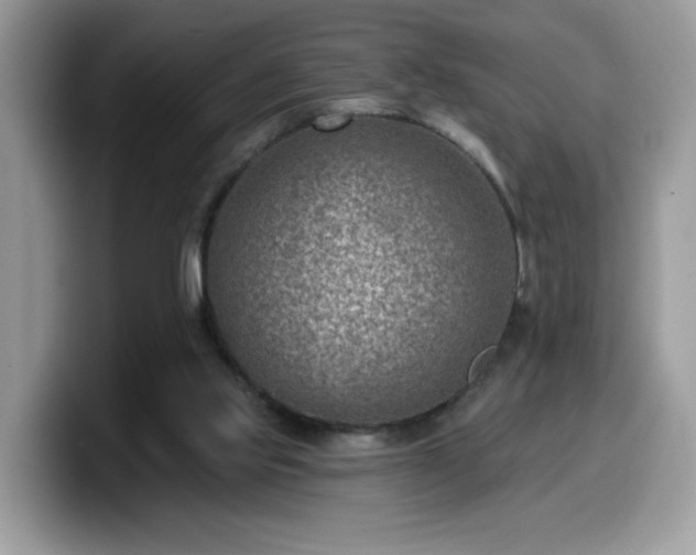 X0000099970061200805301342