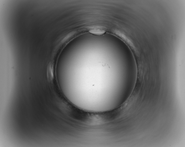 X0000099970062200805301342