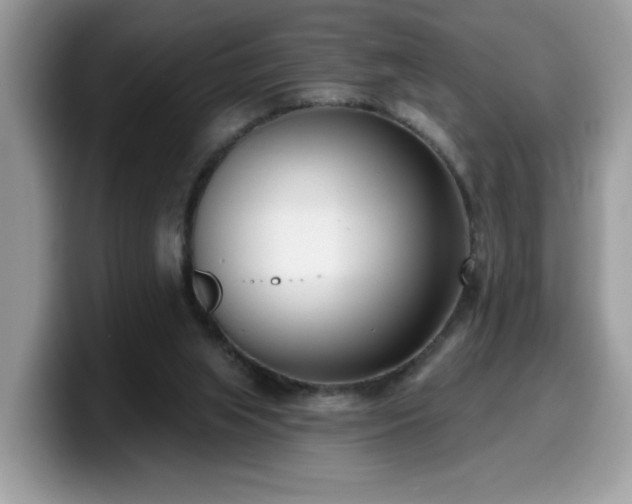 X0000099970063200805301342