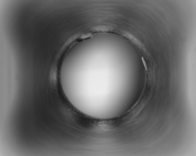 X0000099970064200805301342