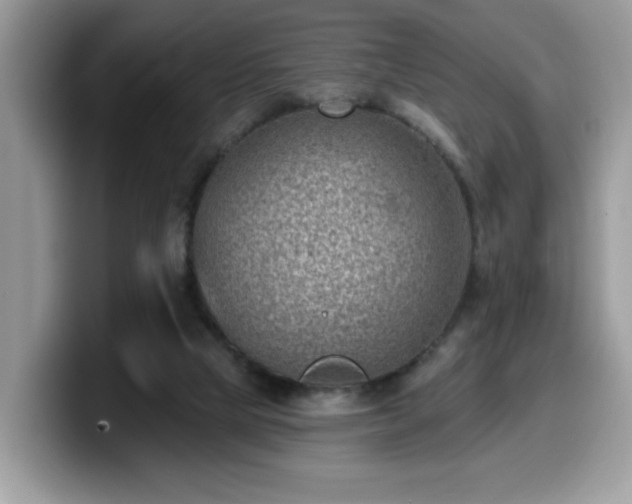 X0000099970065200805301342