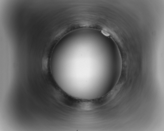 X0000099970066200805301342