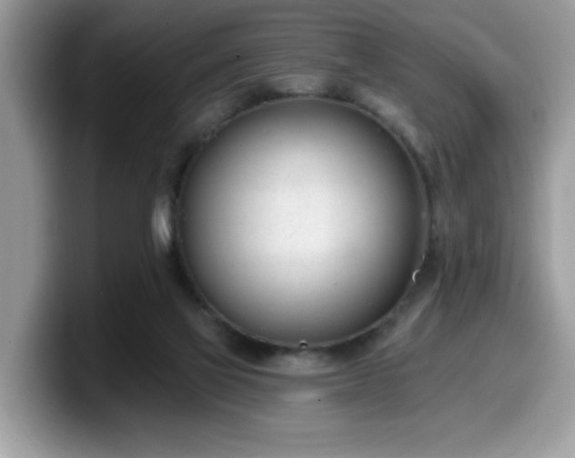 X0000099970069200805301342