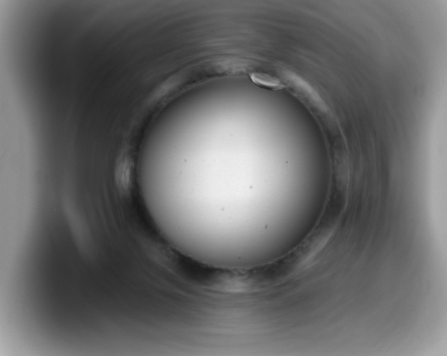 X0000099970071200805301342