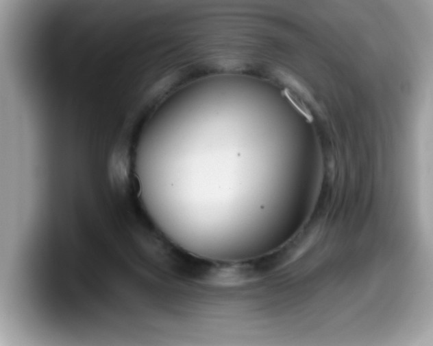 X0000099970072200805301342