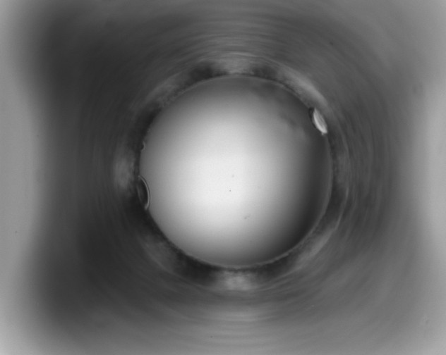 X0000099970073200805301342