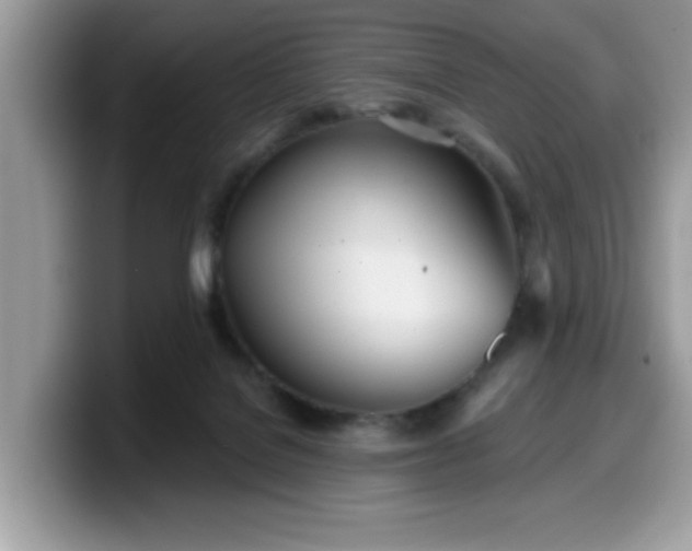 X0000099970076200805301342