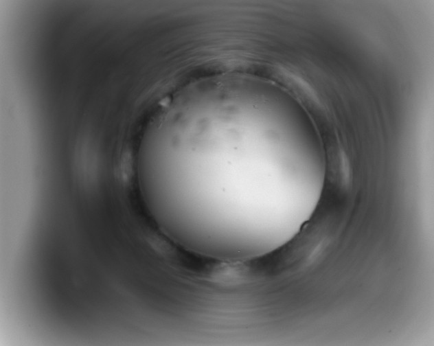 X0000099970077200805301342