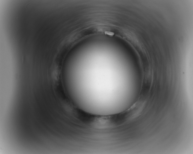 X0000099970078200805301342