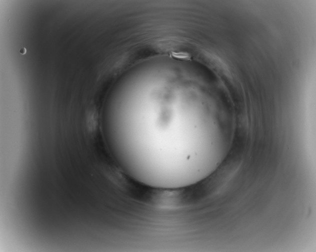 X0000099970081200805301342