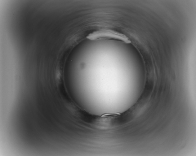 X0000099970084200805301342