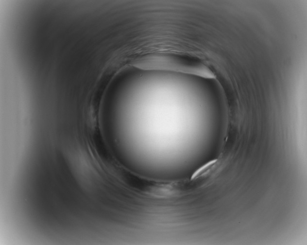 X0000099970086200805301342