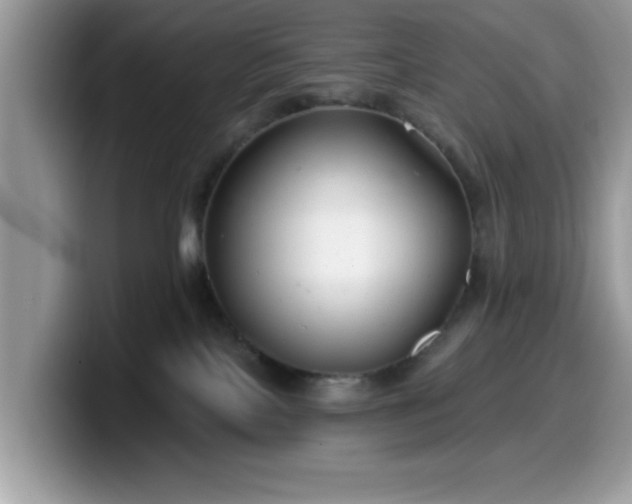 X0000099970089200805301342