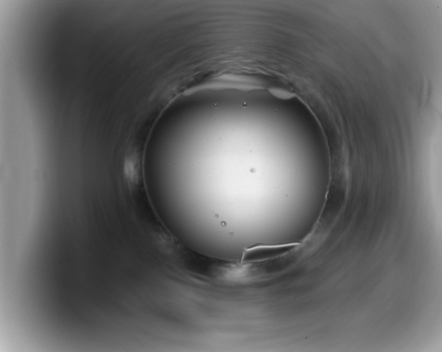 X0000099970090200805301342