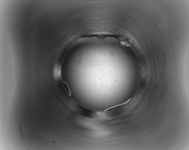 X0000099970095200805301342