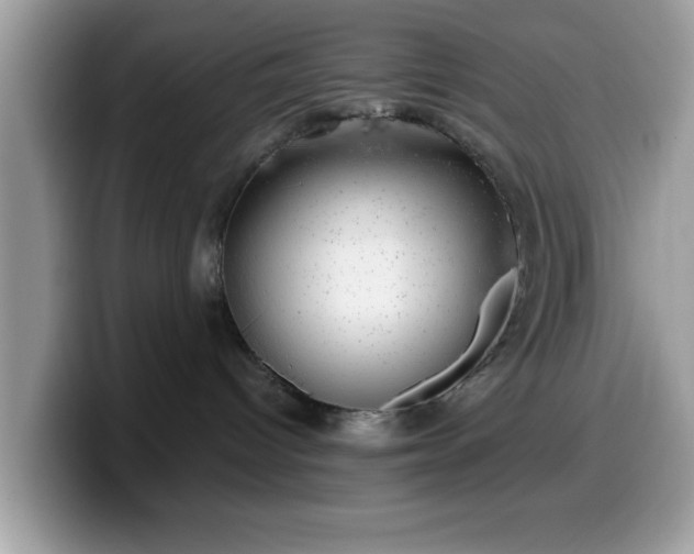 X0000099970096200805301342