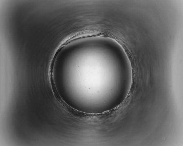 X0000099970100200805301341