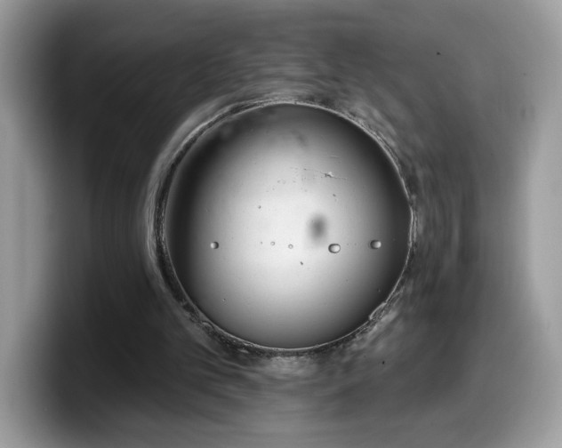 X0000099970101200805301341