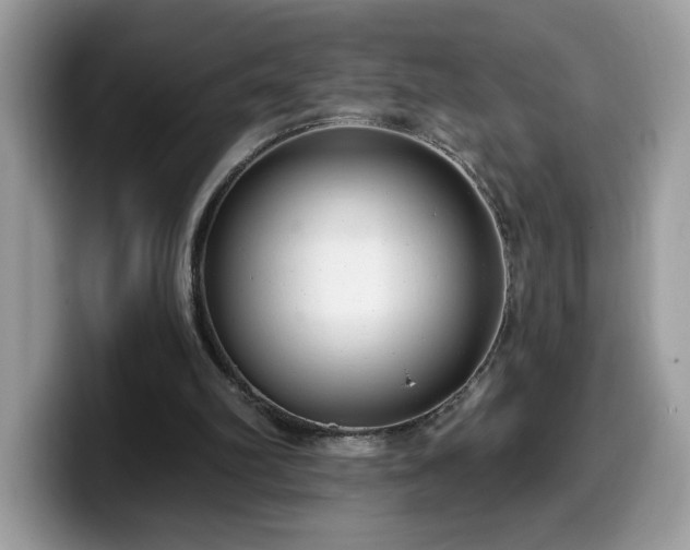 X0000099970102200805301341