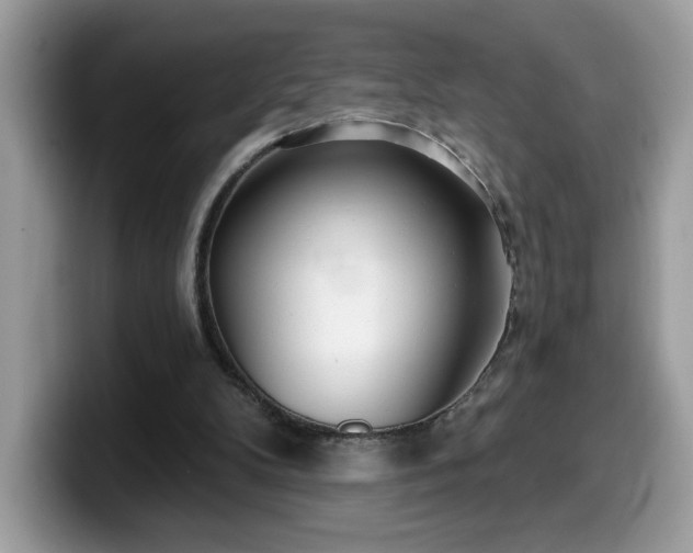 X0000099970104200805301341