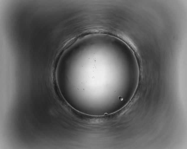 X0000099970105200805301341