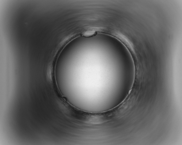 X0000099970107200805301341