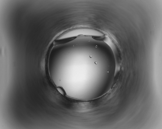 X0000099970108200805301341