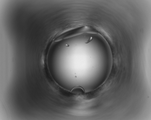 X0000099970115200805301341