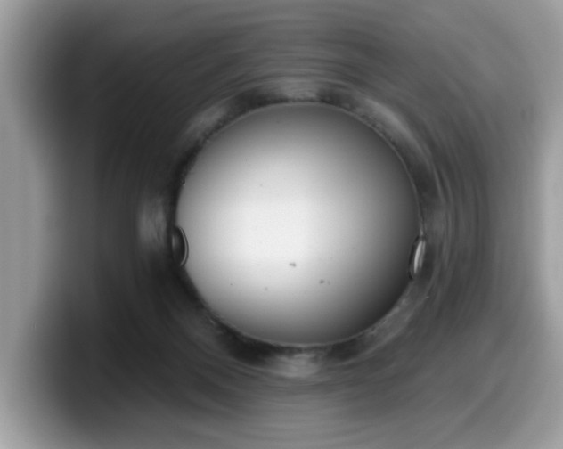 X0000099970120200805301341