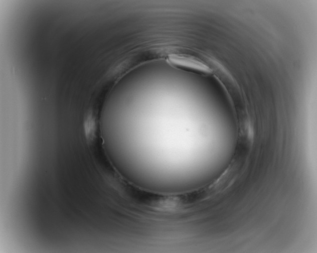 X0000099970124200805301341