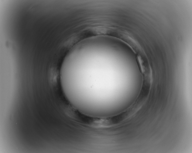 X0000099970125200805301341