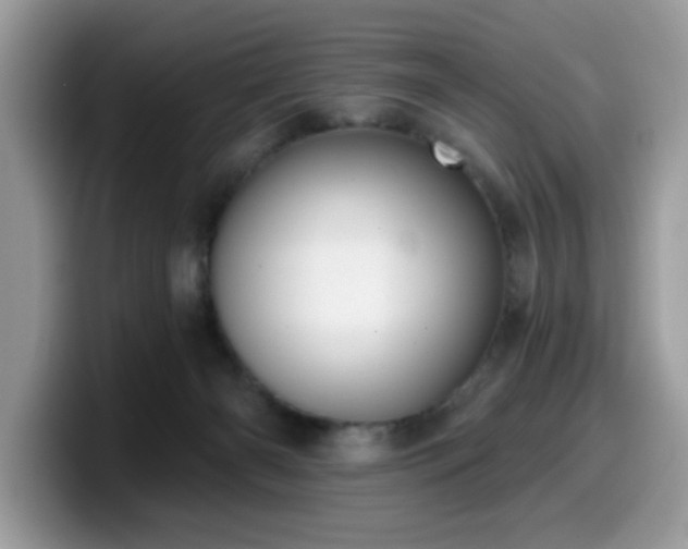 X0000099970126200805301341