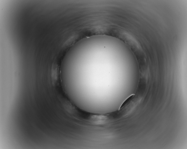 X0000099970133200805301341