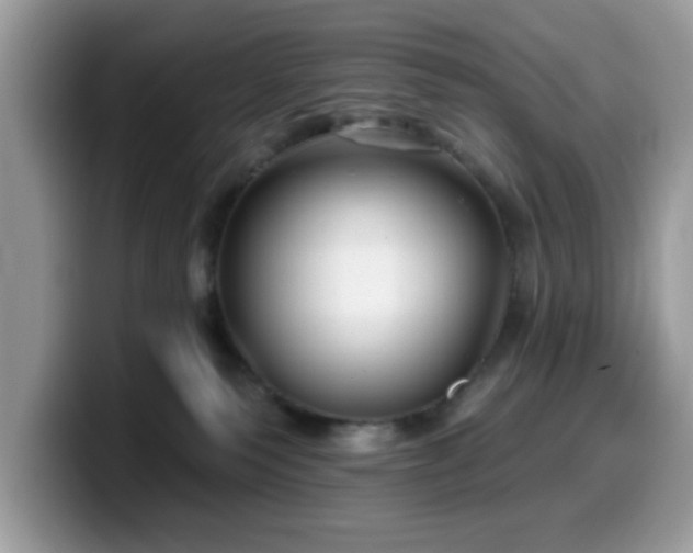 X0000099970135200805301341