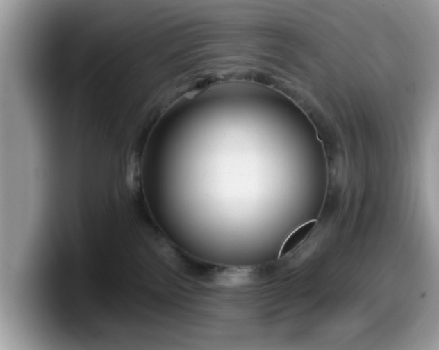 X0000099970138200805301341