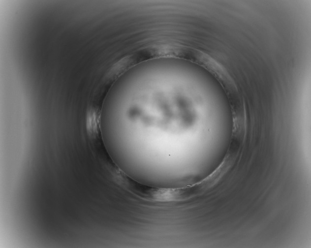 X0000099970142200805301341