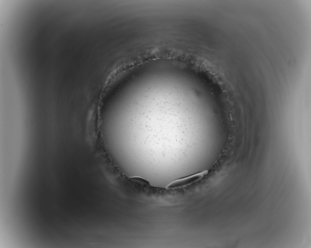 X0000099970144200805301341