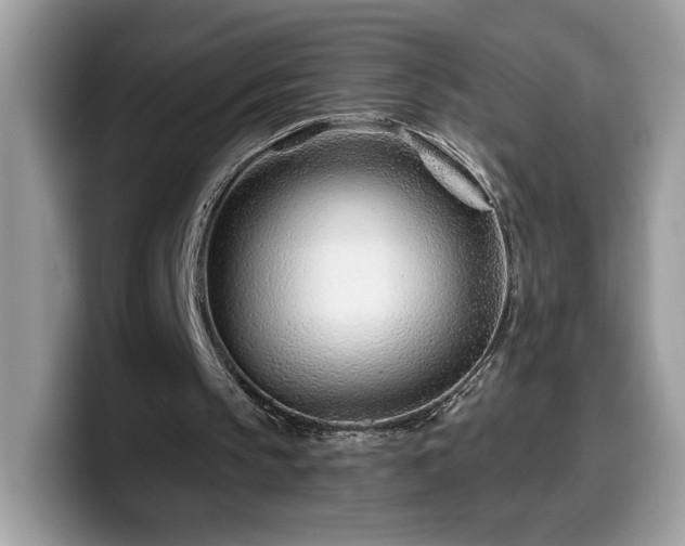 X0000099970145200805301340