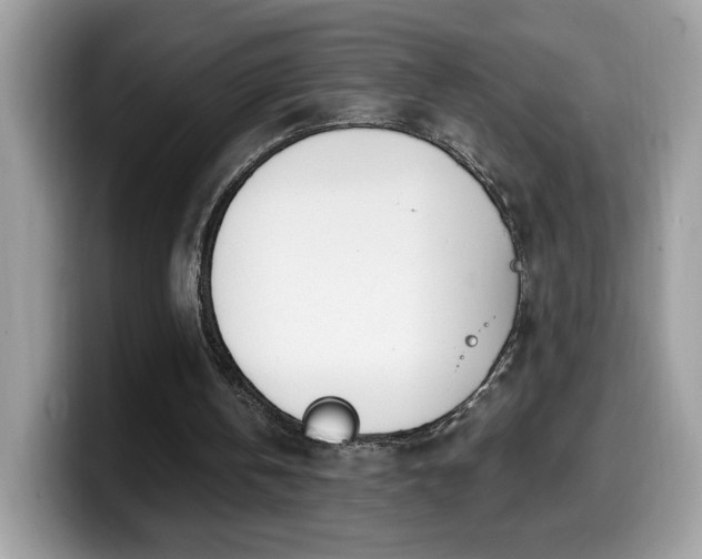 X0000099970146200805301340