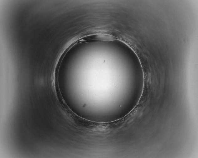 X0000099970148200805301340