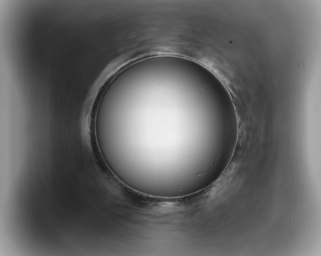 X0000099970151200805301340