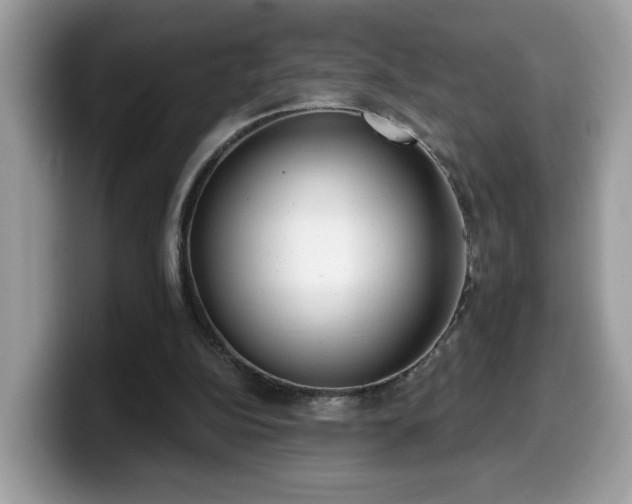 X0000099970152200805301340