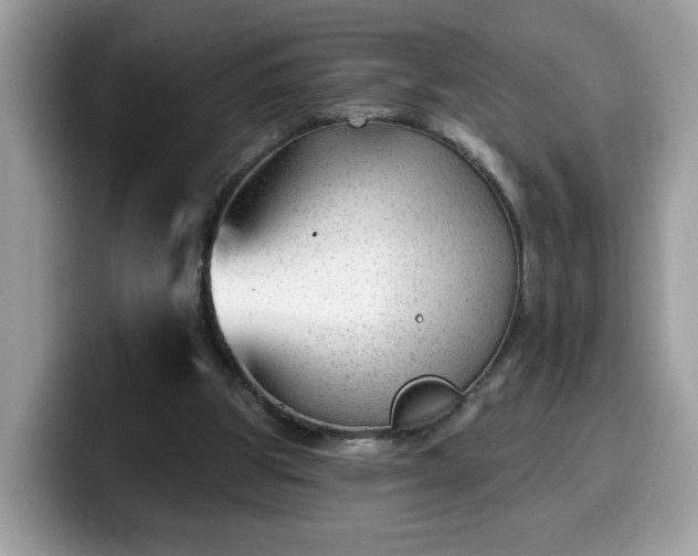 X0000099970153200805301340