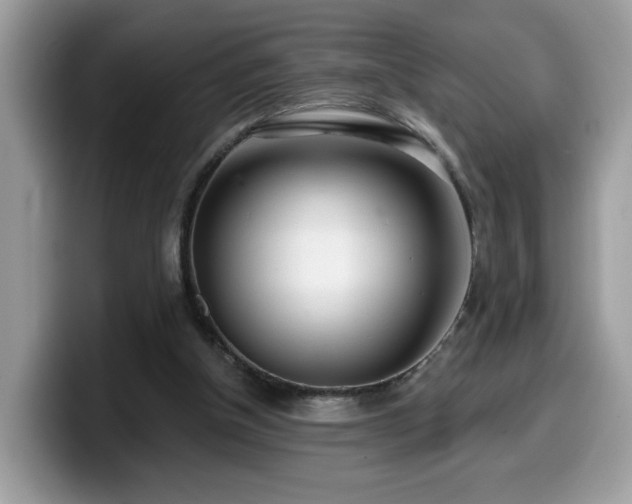 X0000099970154200805301340