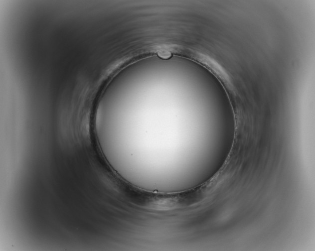 X0000099970155200805301340