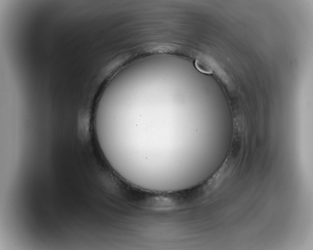 X0000099970159200805301340