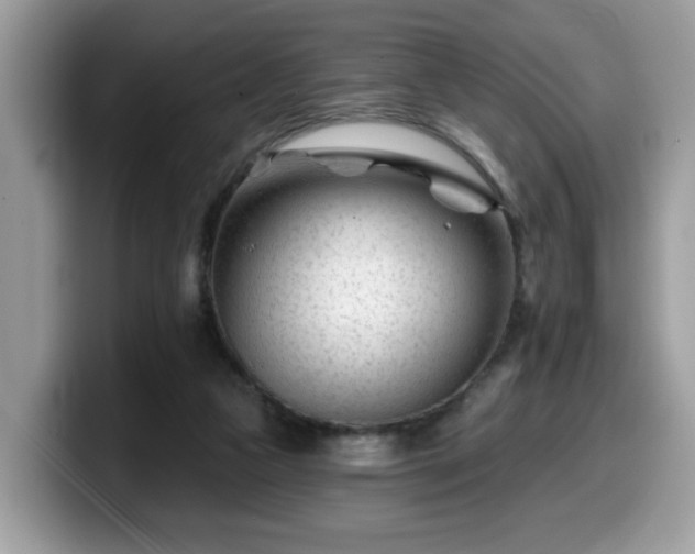 X0000099970161200805301340